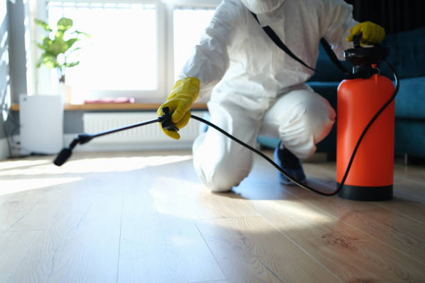 Reliable Blood Cleanup contractor in Beaumont, TX by Trauma Clean Pros